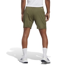 adidas Tennis Shorts Ergo Short Head.Rdy 7in short olive green Men